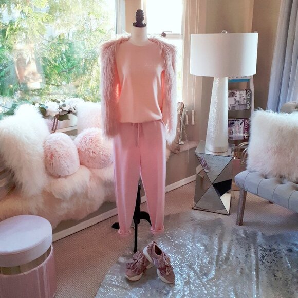 NWT U.S. Vintage blush pink “Dog Mom” sweatshirt, S - Picture 3 of 9